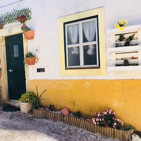 Pe Do Castelo Pet Friendly - Studio & Garage Villa Tomar Exterior photo