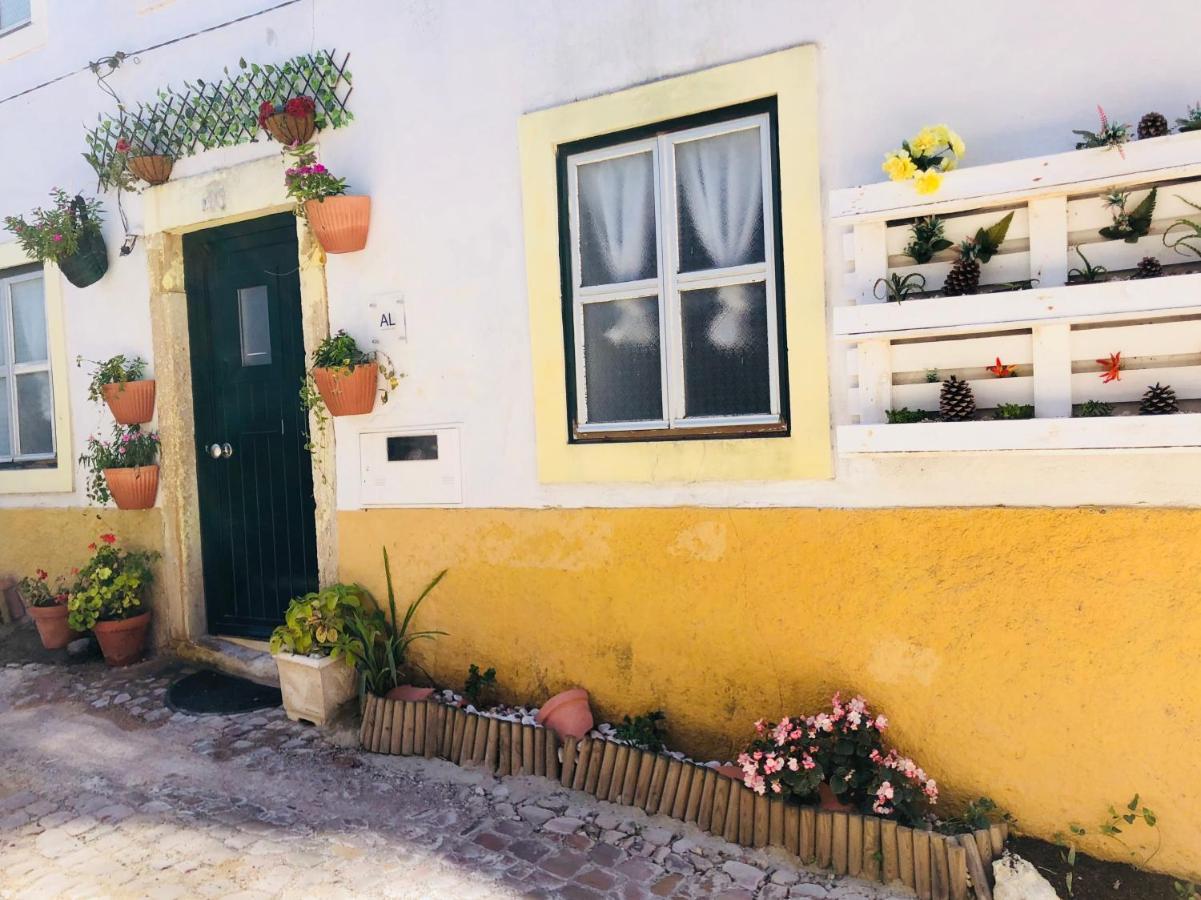 Pe Do Castelo Pet Friendly - Studio & Garage Villa Tomar Exterior photo